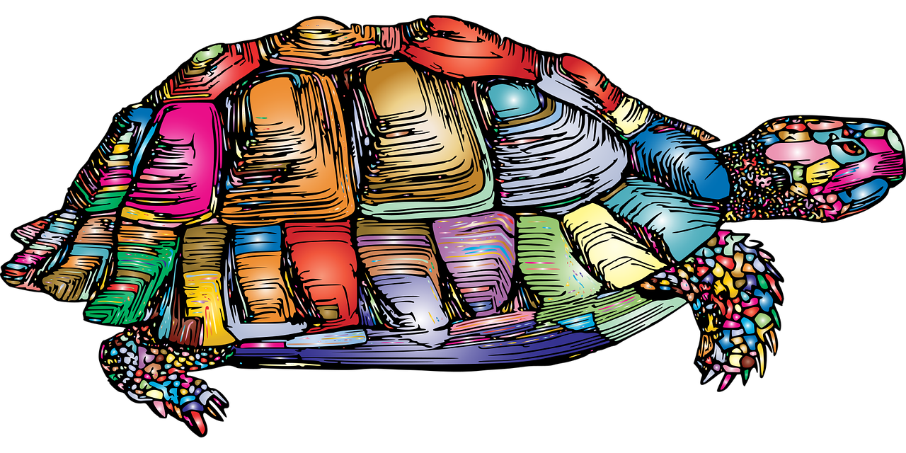 Read more about the article Op ‘n skilpad se rug