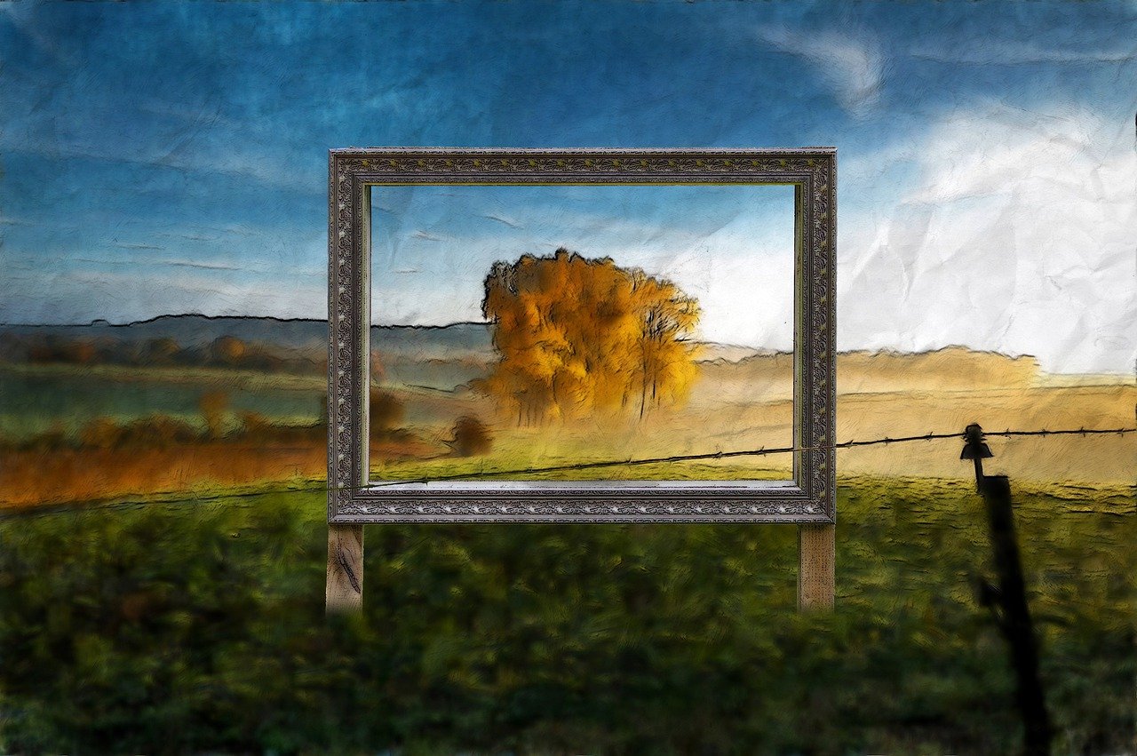 Read more about the article Een tree terug