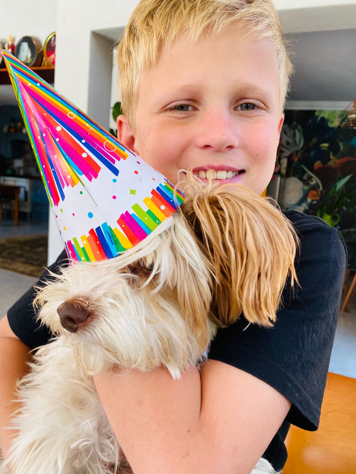 Read more about the article Maak ‘n plan